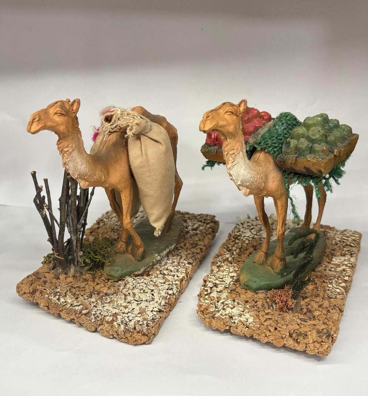 CAMMELLO CON SOMA E AMBIENTAZIONE CM 14