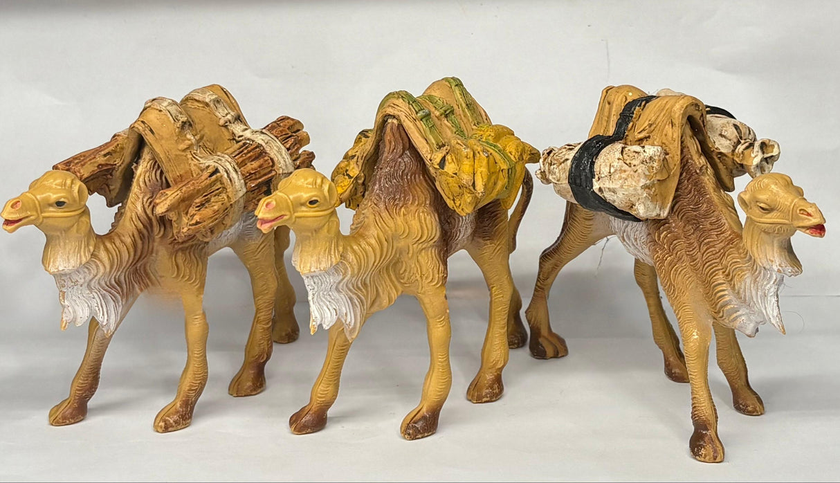 CAMMELLO CON SOMA CM 10