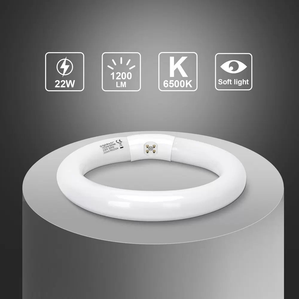 T9 NEON FLUORESCENTE CIRCOLARE