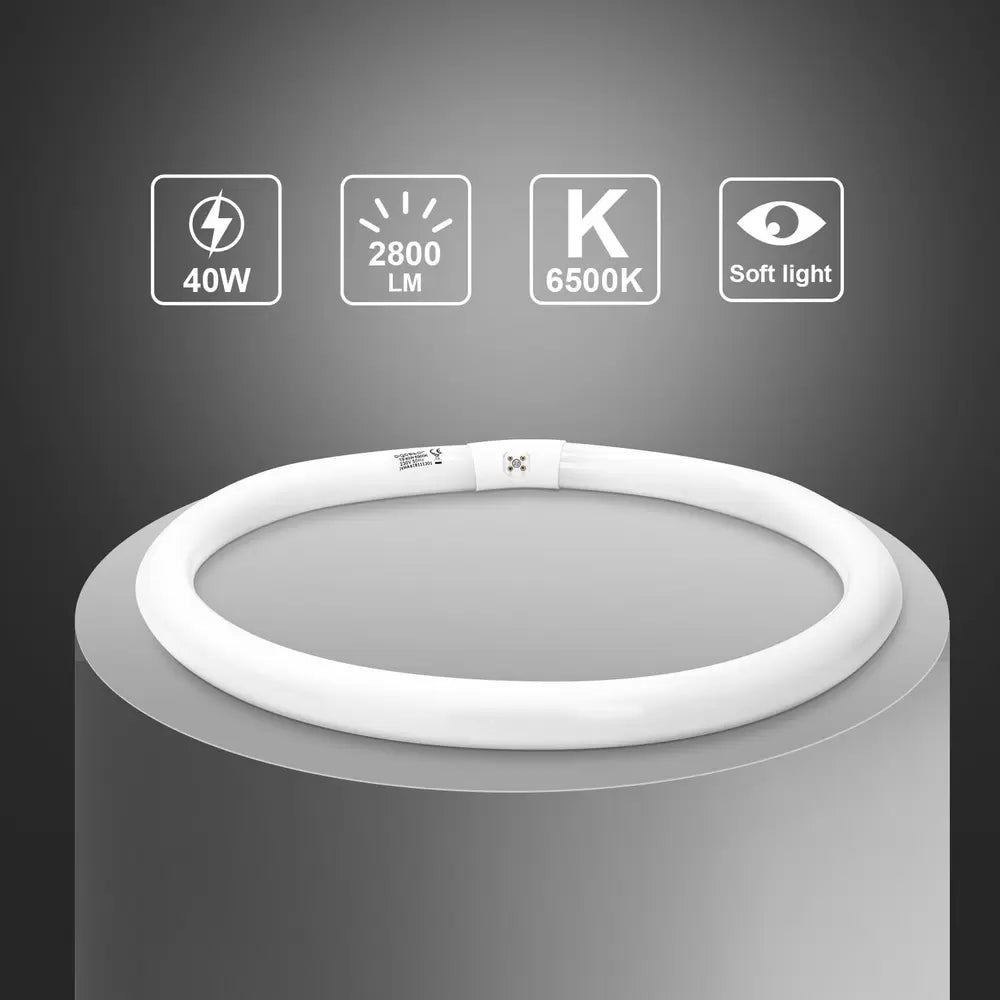 T9 NEON FLUORESCENTE CIRCOLARE