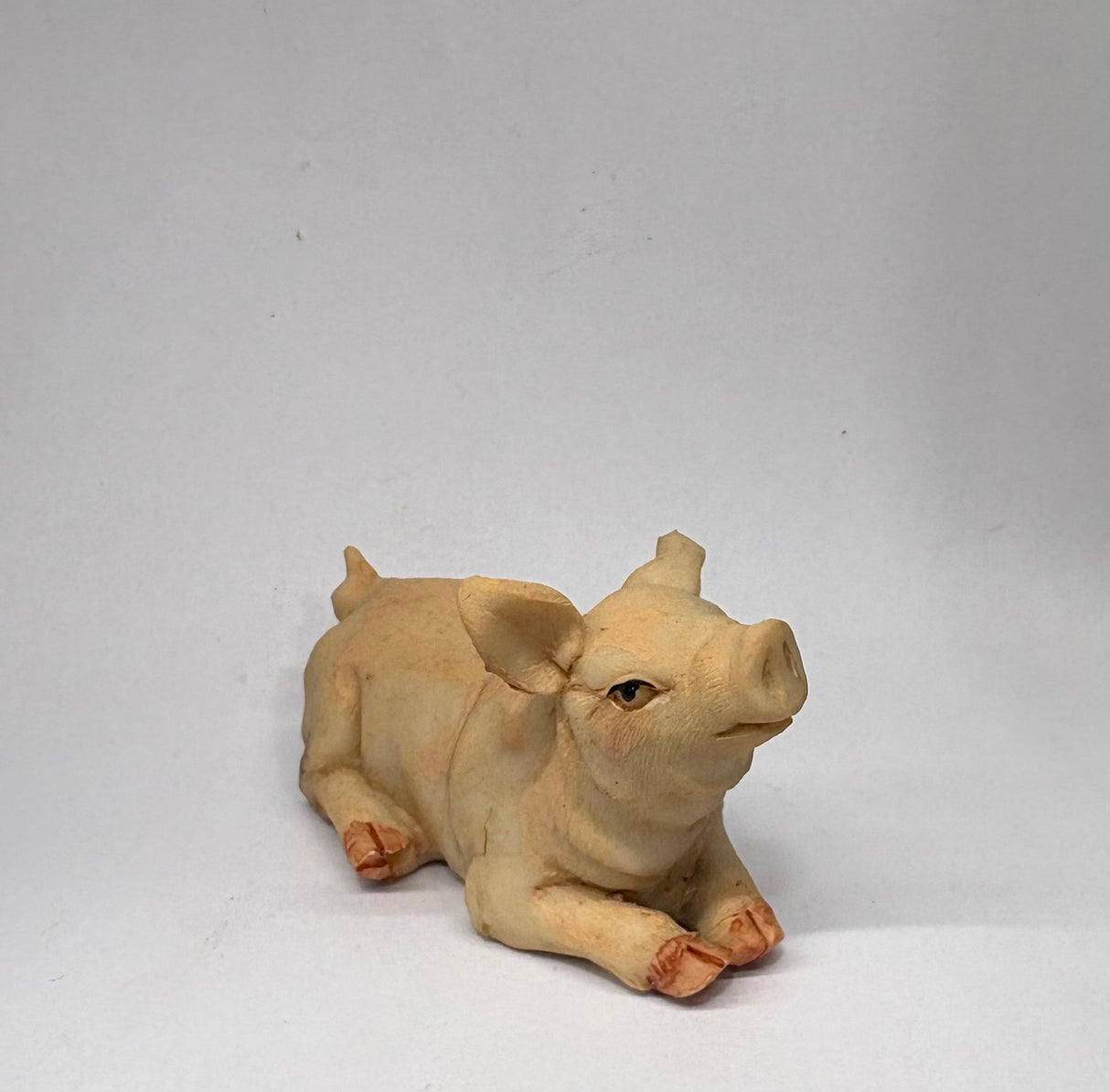 ANIMALI DA CORTILE CM 10