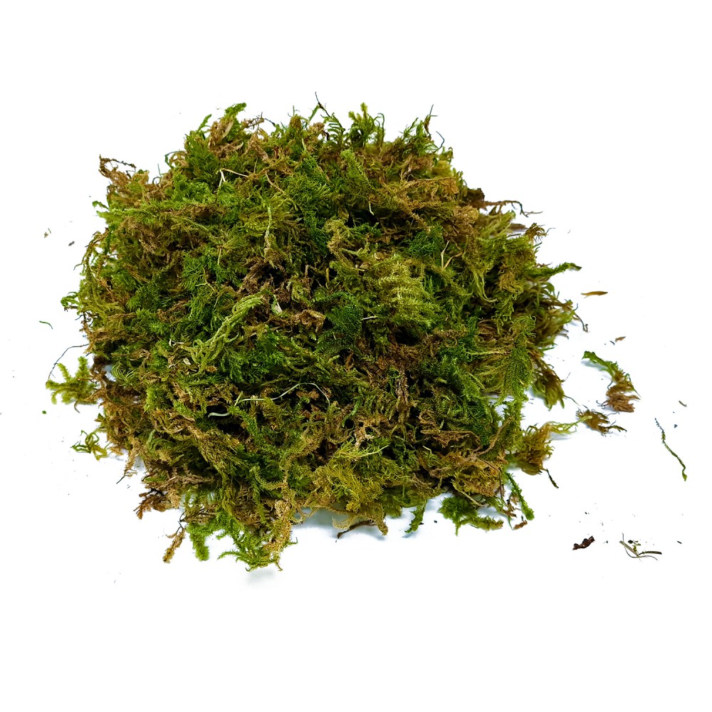 BUSTA MUSCHIO NATURALE MEDIO