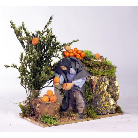 RACCOGLITORE DI ARANCE IN MOVIMENTO