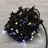 100 JUMBOLED FILO NERO