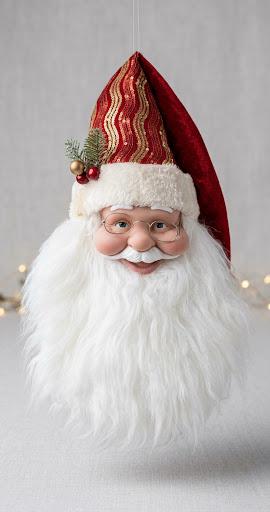 VOLTO BABBO NATALE