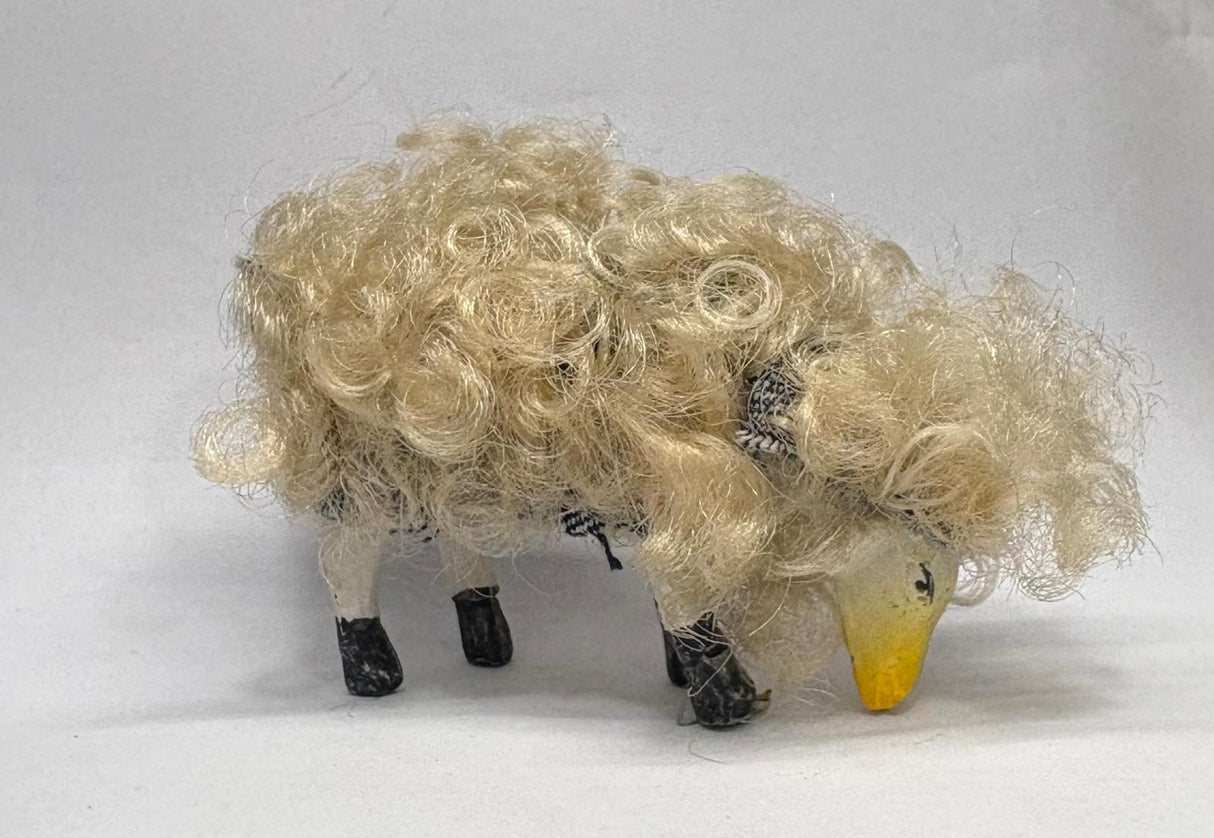 PECORA CON PELO CM 6