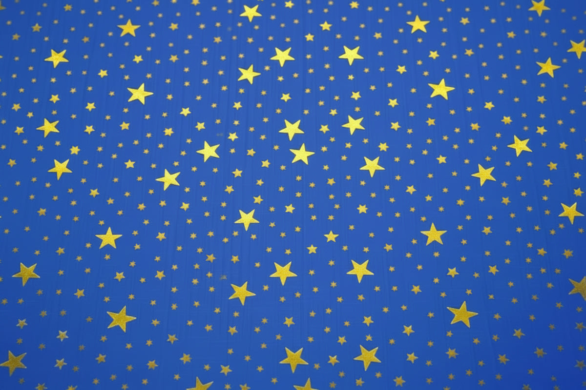 SFONDO CON STELLE PER PRESEPE
